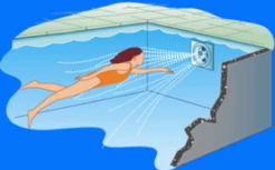 Olympic Sport Zelfbouw Plunge Pool 4,00 X 3,00 X 1,50m 9 Olympic Sport Zelfbouw Plunge Pool 4,00 X 3,00 X 1,50m -Zwembad Verkoopwinkel image 1676 2526